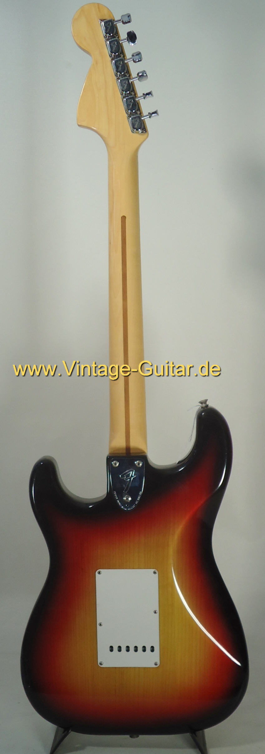 Fender Stratocaster 1977 sb c.jpg